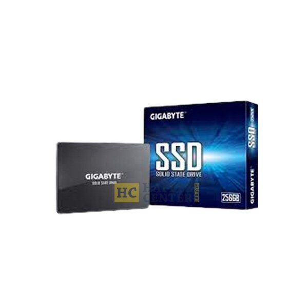 Gigabyte SSD Speed 6.0b/s capacity upto 256GB