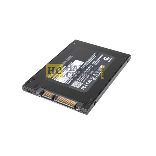 Gigabyte SSD Speed 6.0bs capcity upto 256GB2